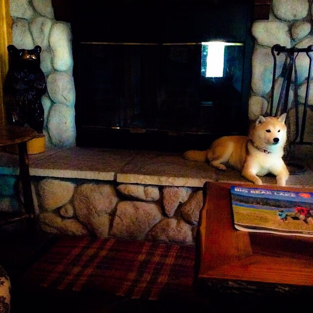 摩洛哥队在巴黎奥运会男足比赛中以1-2不敌阿根廷，摩洛哥男足世界排名